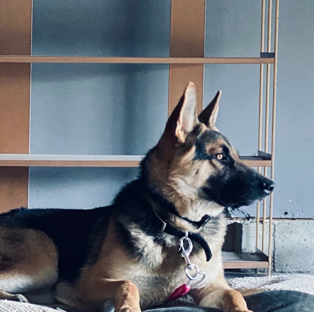 Meet your Posher, Emily